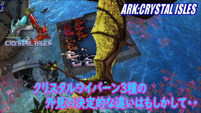 Ark Crystal Isles クリスタルワイバーン３種類の外見の違い だーくすりいぱのいろいろ