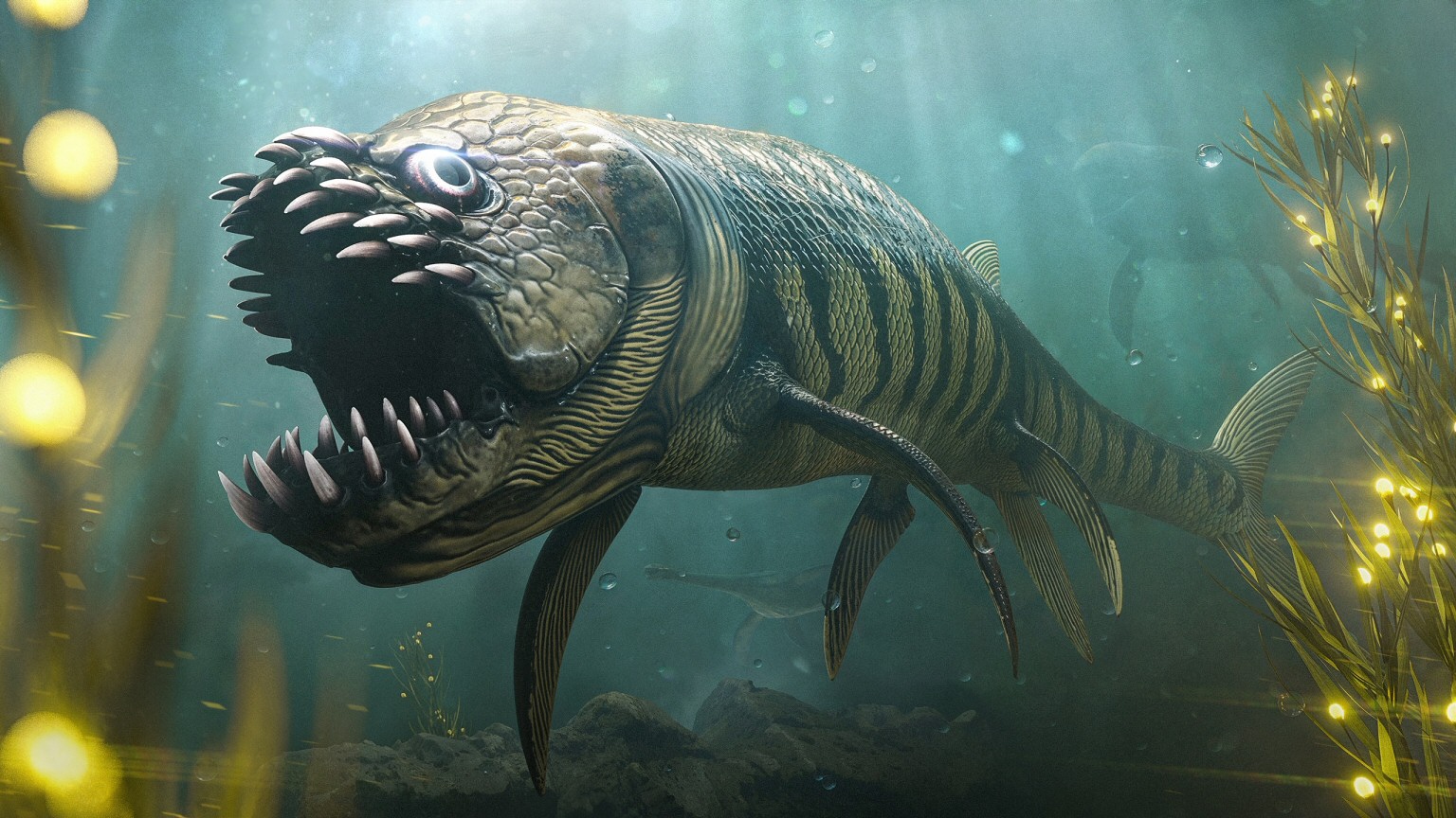 シファクサンのコスト